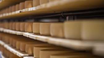 Käse der Kronen Käserei