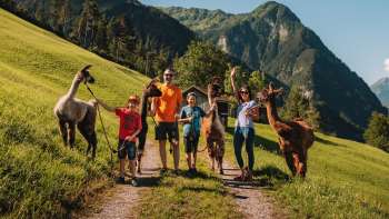 Familienshooting mit Lamas und Alpakas im Sommer Malbun
